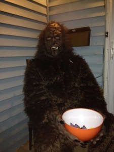 My Neighbor is Chewbacca 