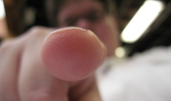 Donald Trump and the Politics of Blame