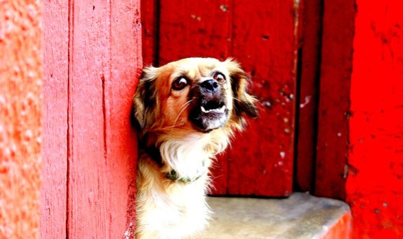 The Sensitive Personality Are You An Emotional Ninja