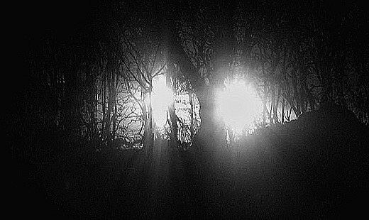 recovery-and-learning-to-walk-in-the-dark