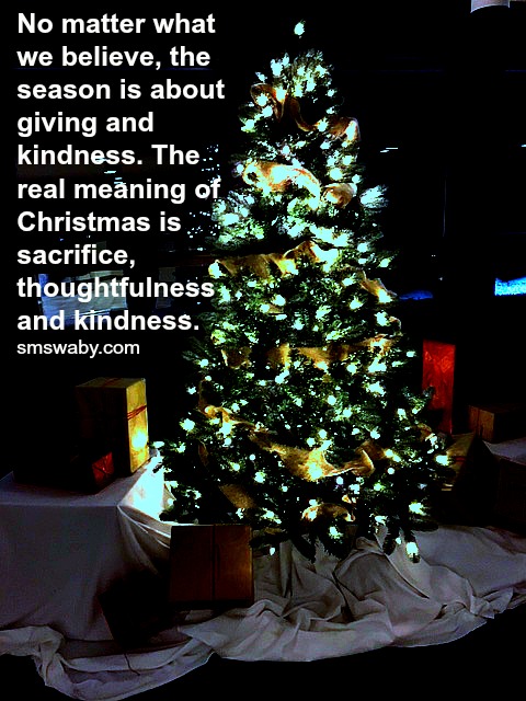 who-gives-a-sh__-about-christmas-anymore-maybe-you-should_poster