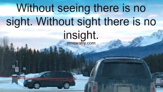 without-seeing-there-is-no-insight_poster