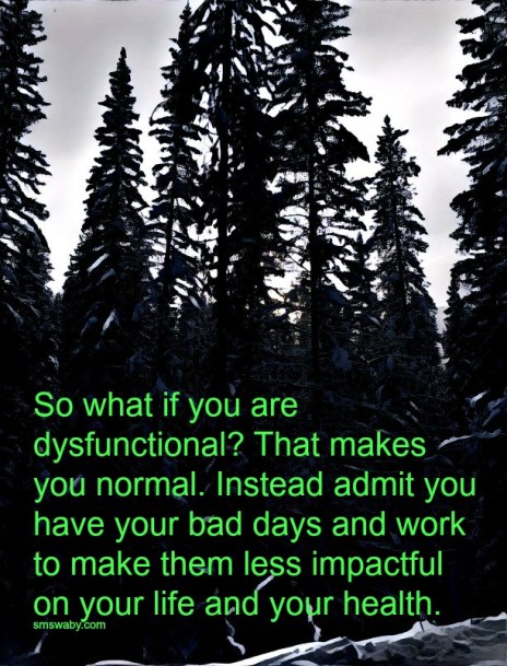 youre-not-dysfunctional-youre-just-normal_poster