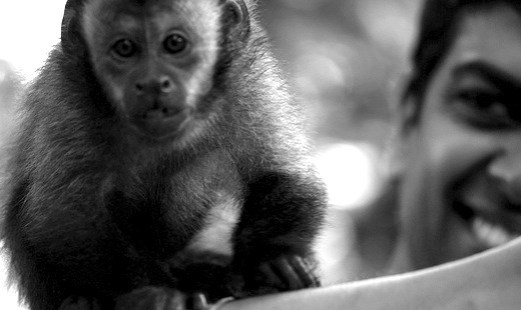 depression-is-like-a-monkey-in-your-mind